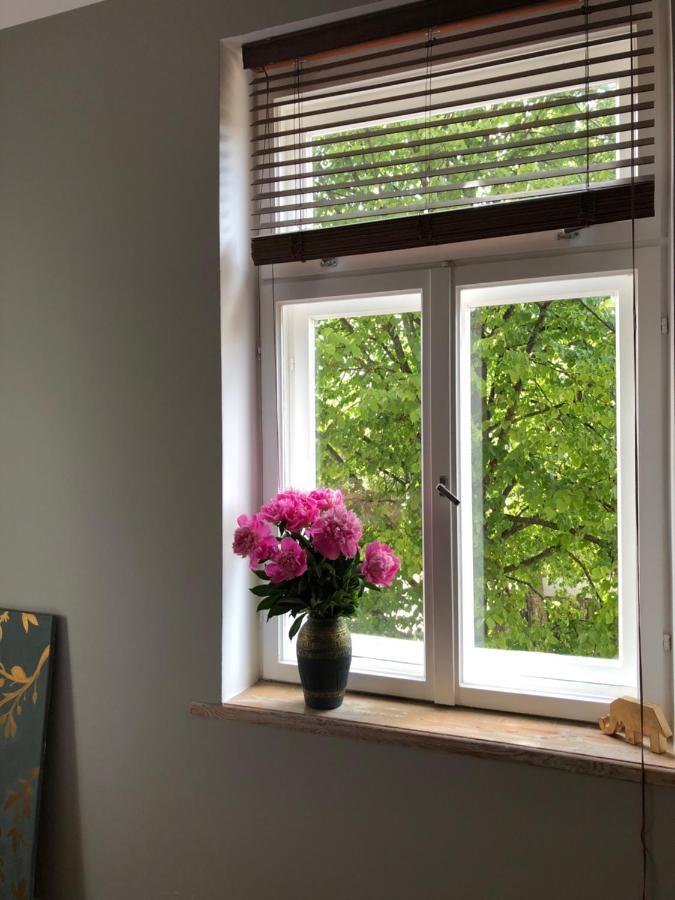 Bohemian Apartment In The Heart Of Old Ventspils City ภายนอก รูปภาพ